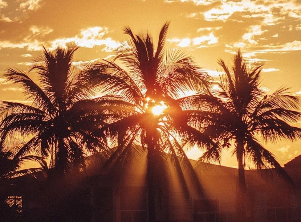 G ldar Las Palmas G ldar Las Palmas